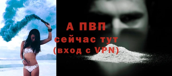 гашик Бородино
