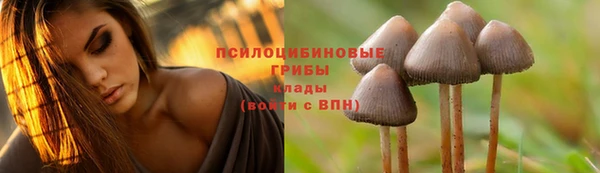 круглые Аркадак