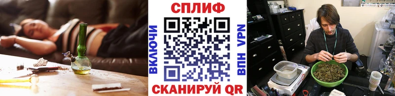 Каннабис индика  купить наркотики цена  Можга 
